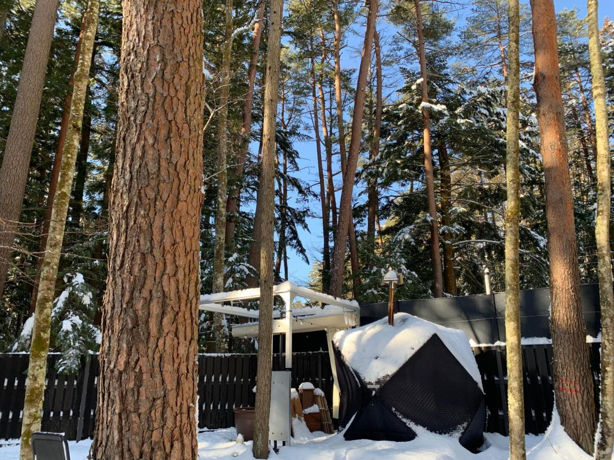 Fuji Fumoto Forest Hotspring ふもとの森温泉 فوجيكاواجوتشيكو المظهر الخارجي الصورة