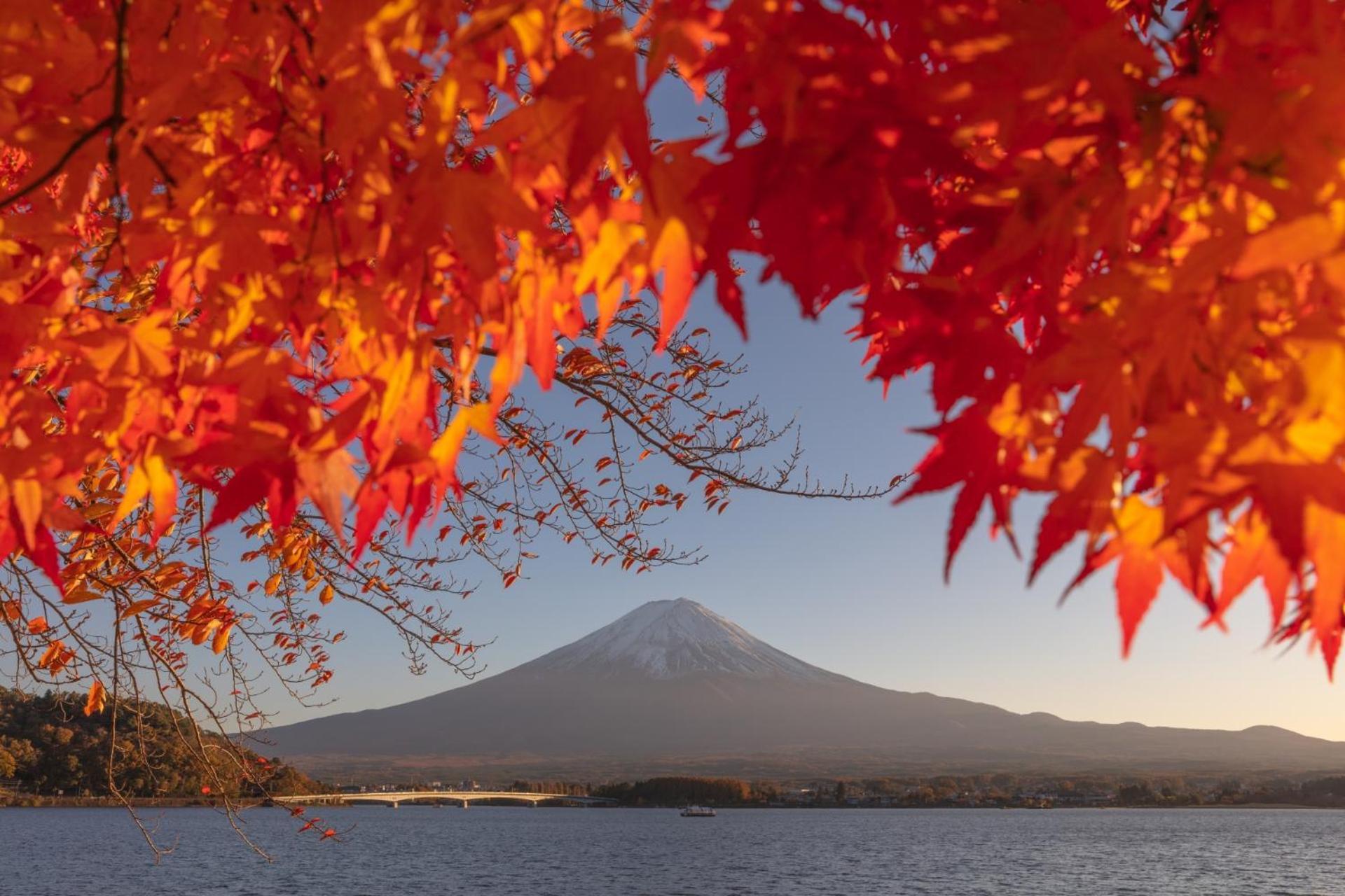 Fuji Fumoto Forest Hotspring ふもとの森温泉 فوجيكاواجوتشيكو المظهر الخارجي الصورة